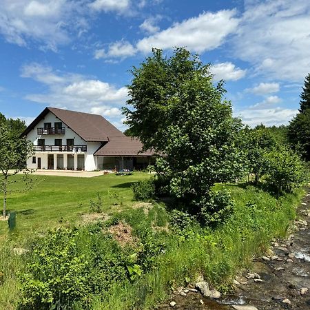 Pensiunea Valea Lisei Lisa Exterior foto