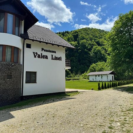 Pensiunea Valea Lisei Lisa Exterior foto