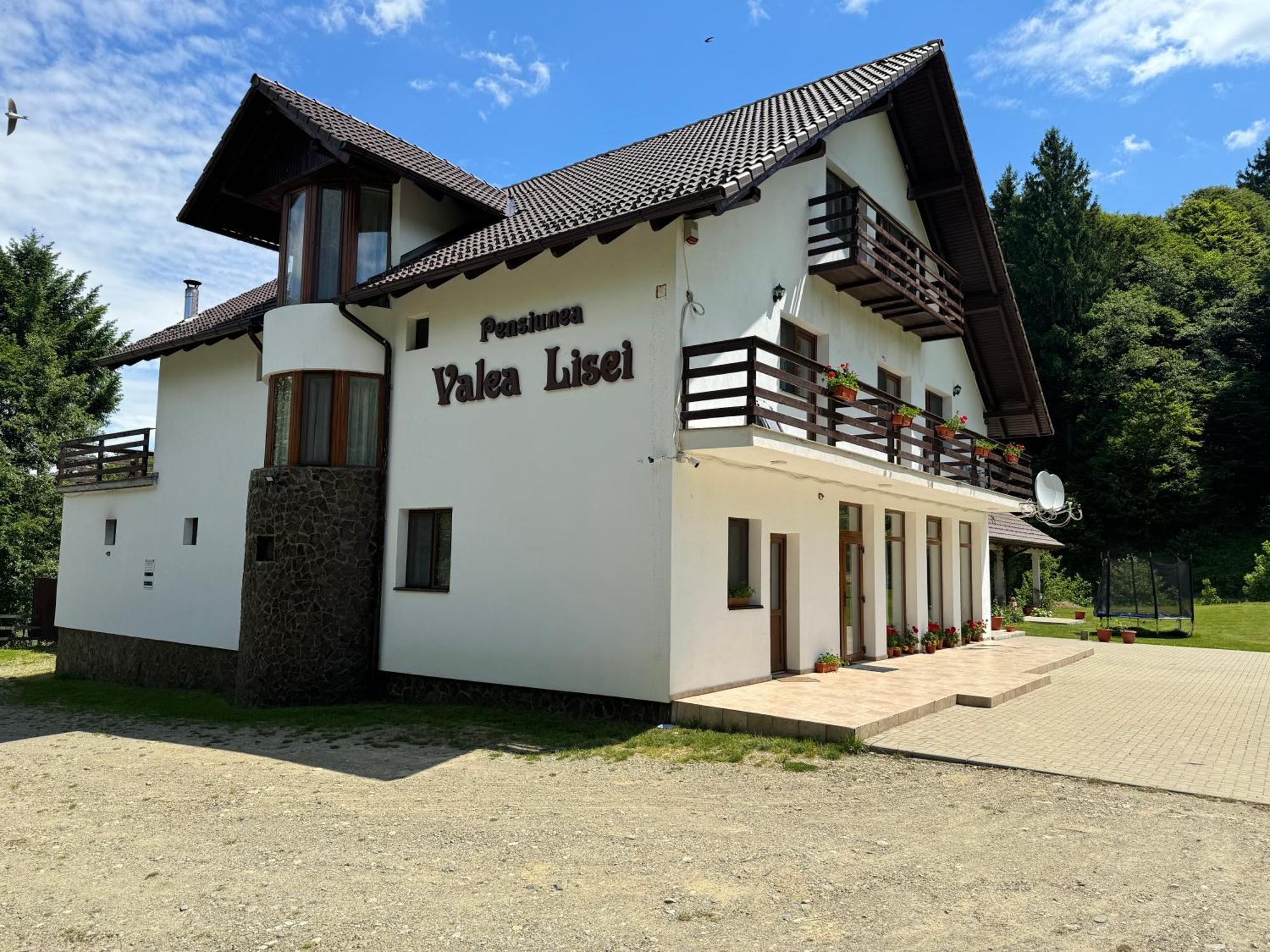 Pensiunea Valea Lisei Lisa Exterior foto