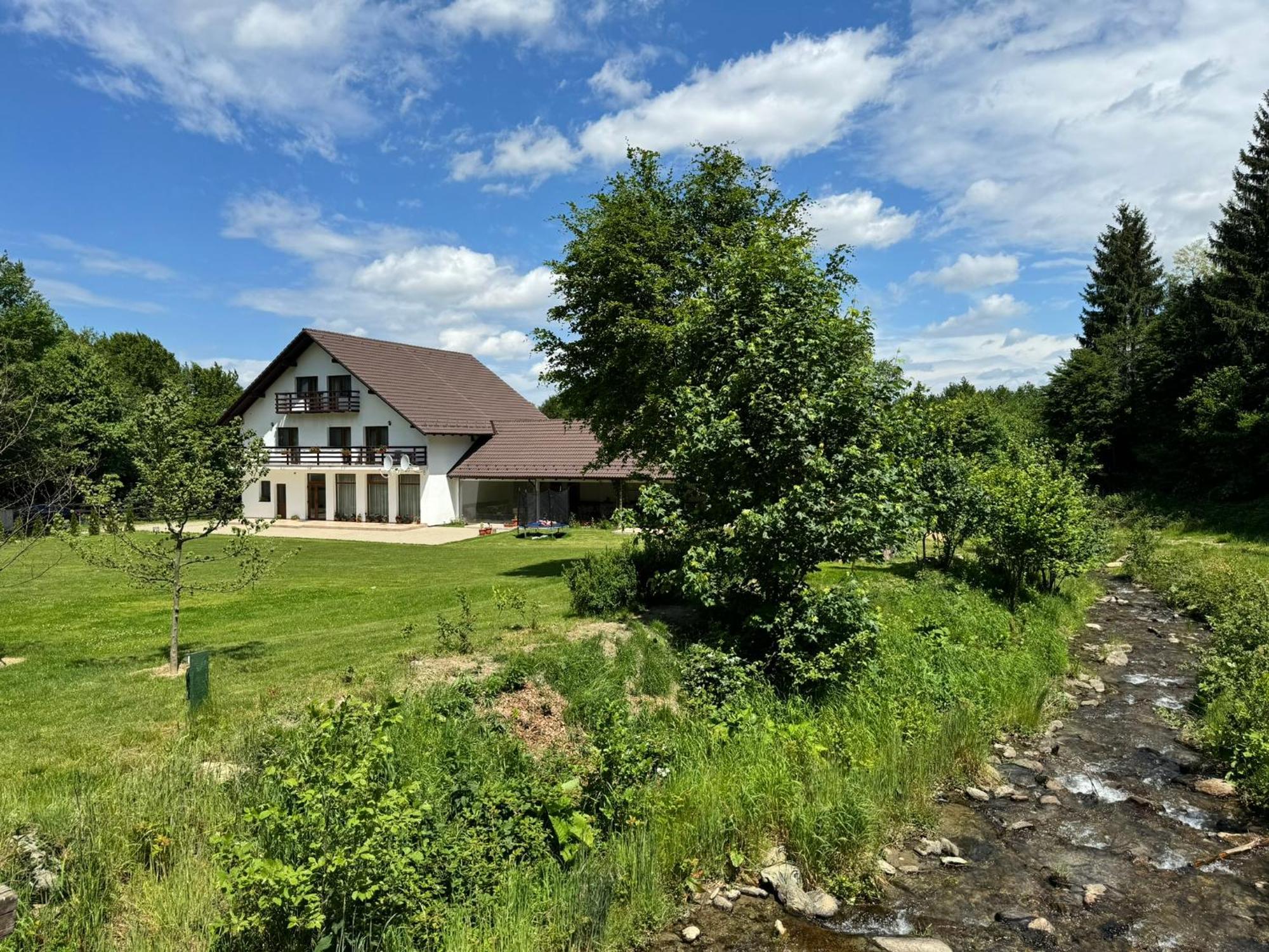 Pensiunea Valea Lisei Lisa Exterior foto